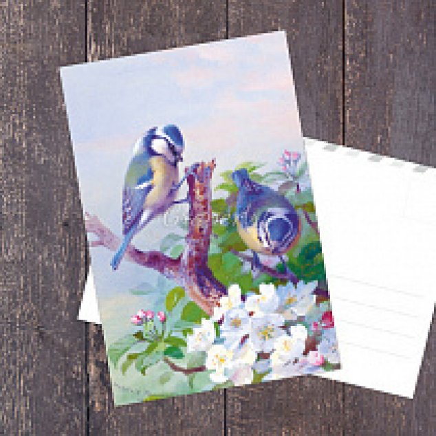 Ansichtkaart Vogels op een tak. 