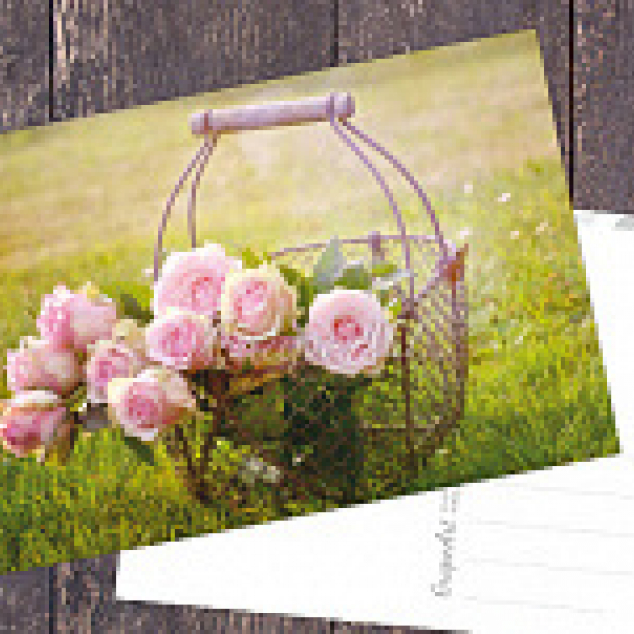 Ansichtkaart Mandje met Rozen.